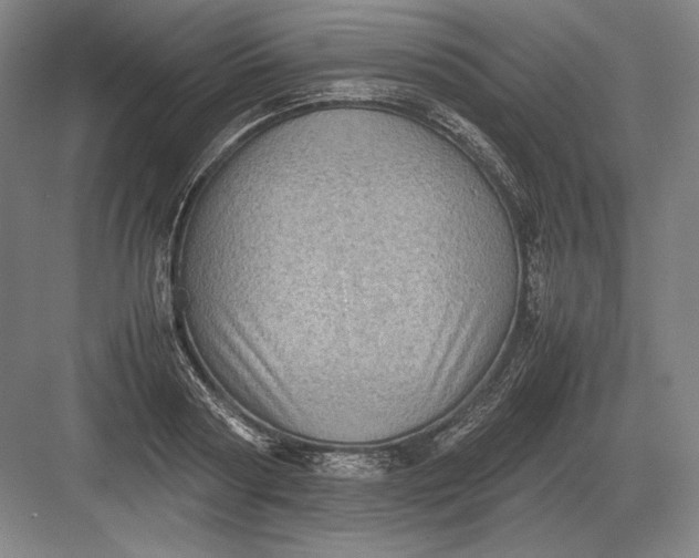 X0000082990794200702160022