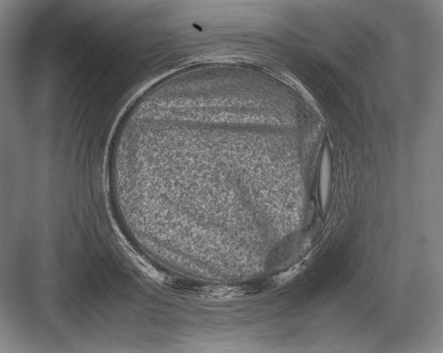 X0000082990795200702160022