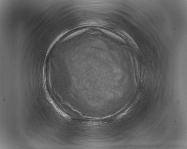 X0000082990796200702160022