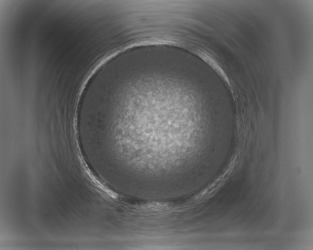 X0000082990797200702160022