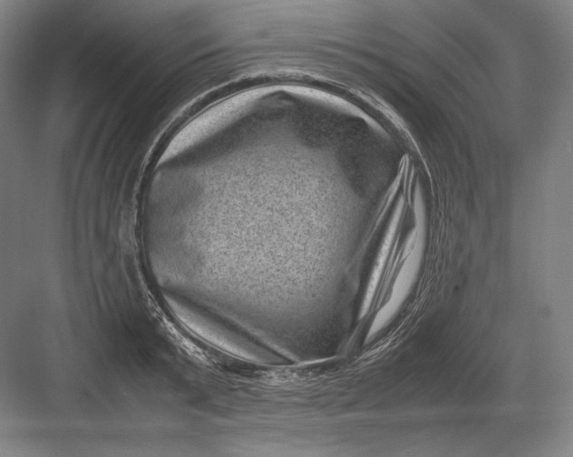 X0000082990799200702160022