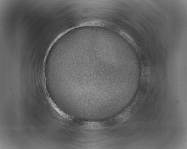 X0000082990800200702160022