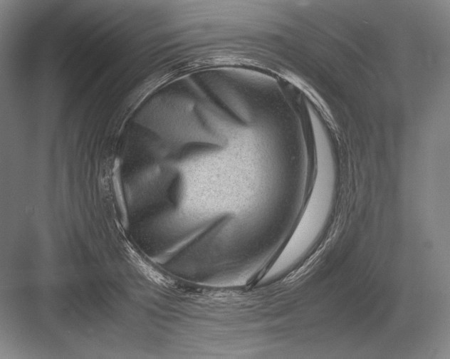 X0000082990801200702160022