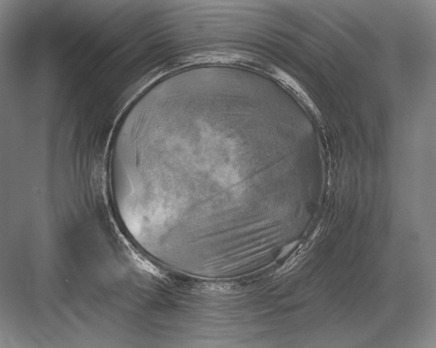 X0000082990802200702160022