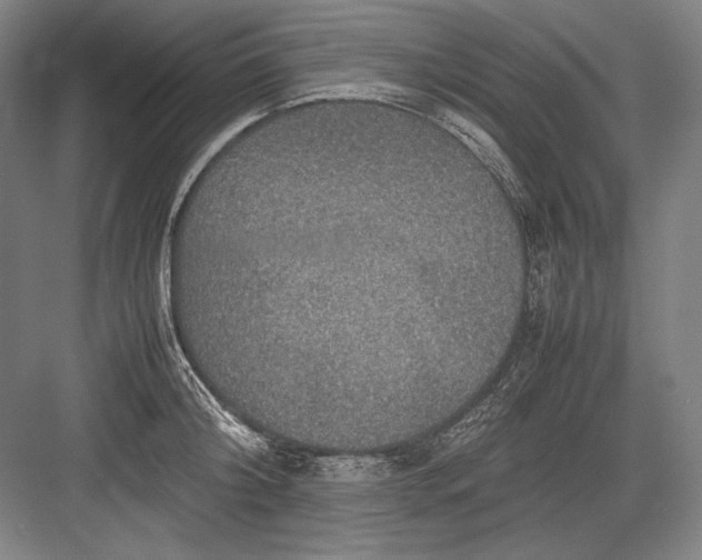 X0000082990804200702160022