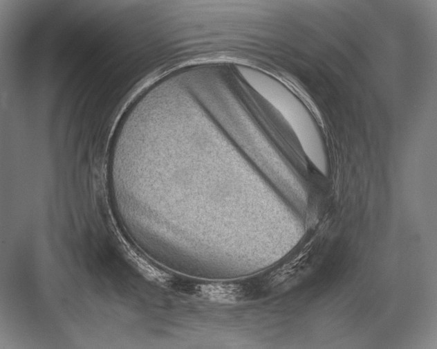 X0000082990805200702160022