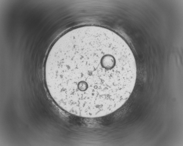 X0000082990807200702160022