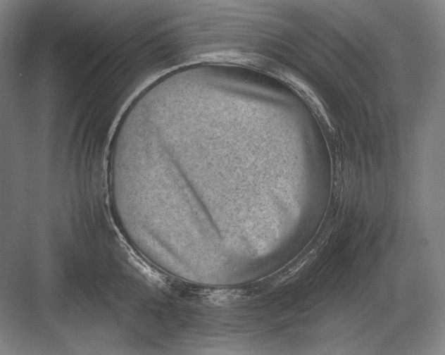 X0000082990808200702160022