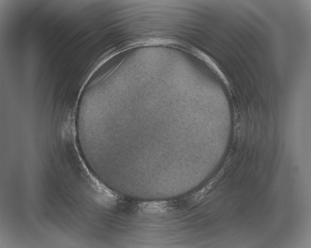 X0000082990810200702160022