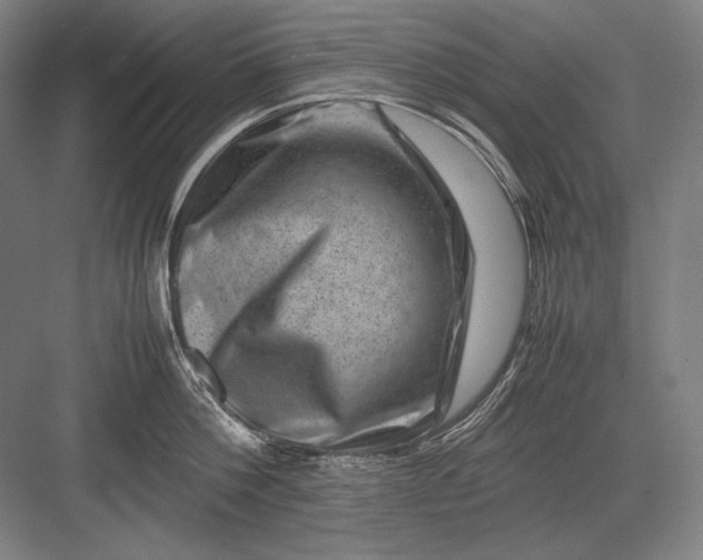 X0000082990812200702160022