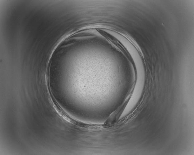 X0000082990813200702160022