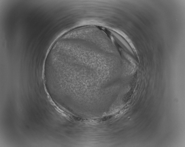 X0000082990815200702160022