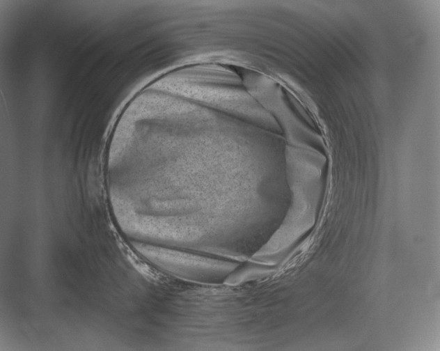 X0000082990816200702160022