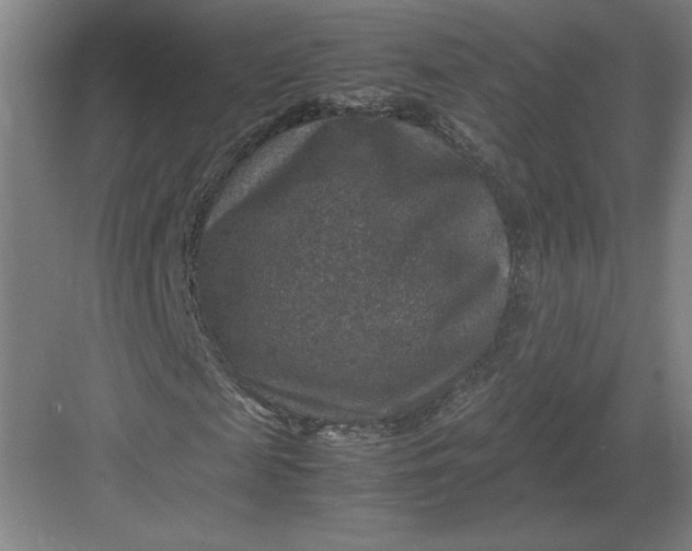 X0000082990817200702160021