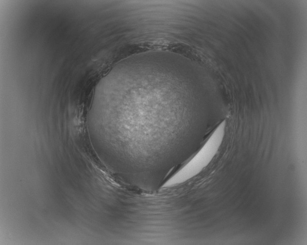 X0000082990818200702160021