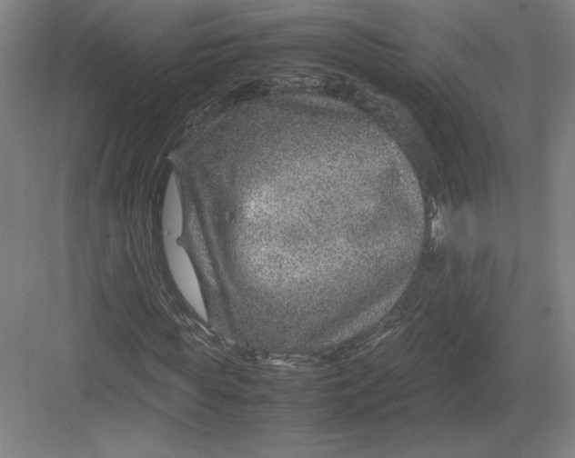 X0000082990819200702160021