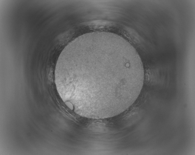 X0000082990820200702160021