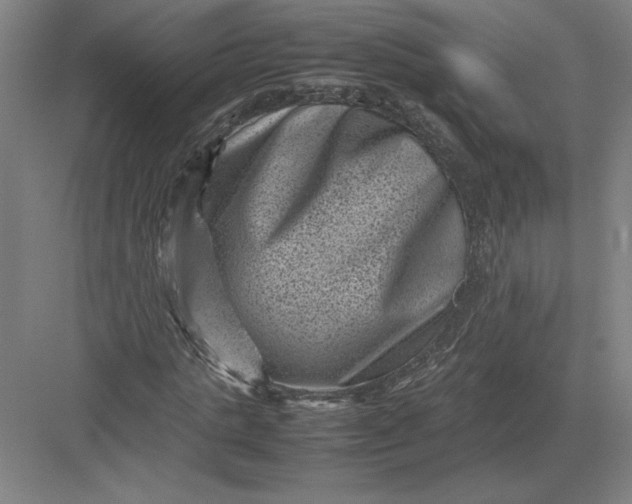 X0000082990821200702160021