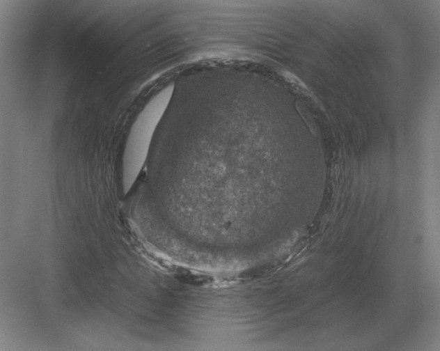 X0000082990822200702160021