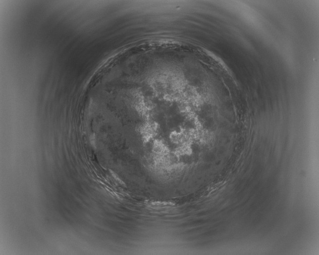 X0000082990823200702160021