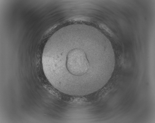 X0000082990824200702160021