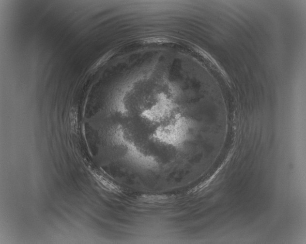 X0000082990825200702160021