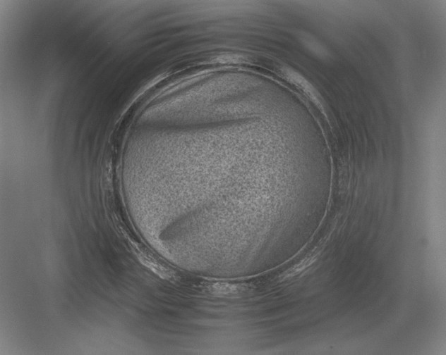 X0000082990827200702160021