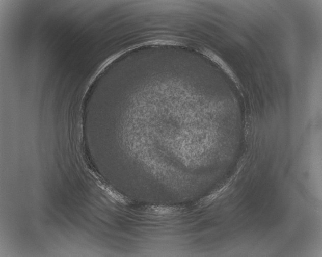 X0000082990829200702160021