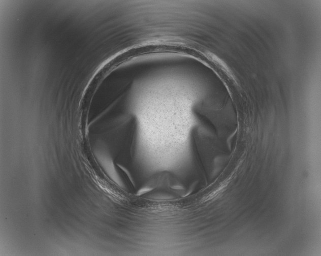 X0000082990830200702160021