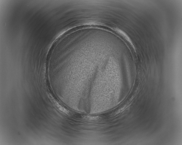 X0000082990831200702160021