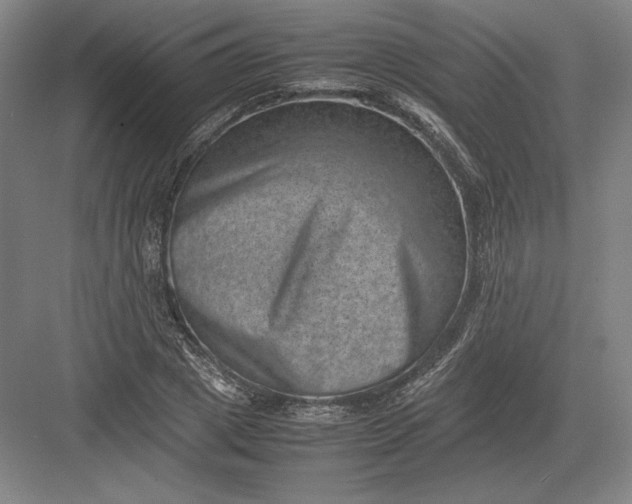 X0000082990833200702160021