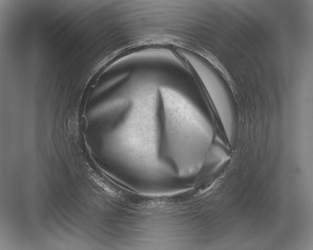 X0000082990834200702160021