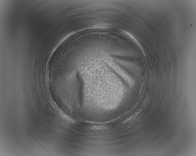 X0000082990835200702160021