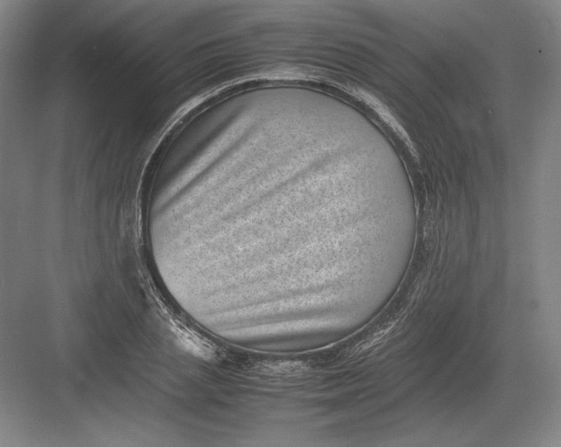 X0000082990837200702160021