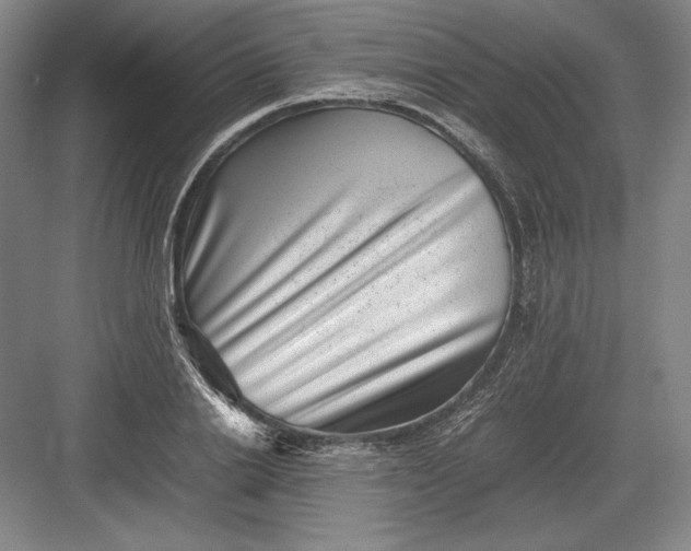 X0000082990838200702160021