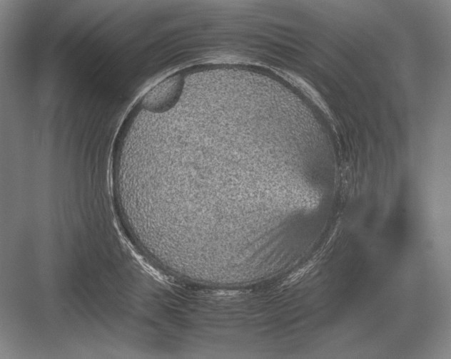 X0000082990839200702160021