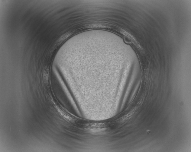 X0000082990841200702160021