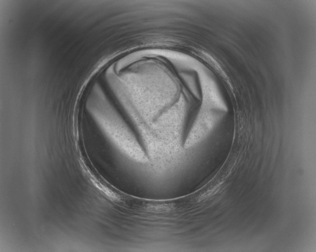 X0000082990843200702160021