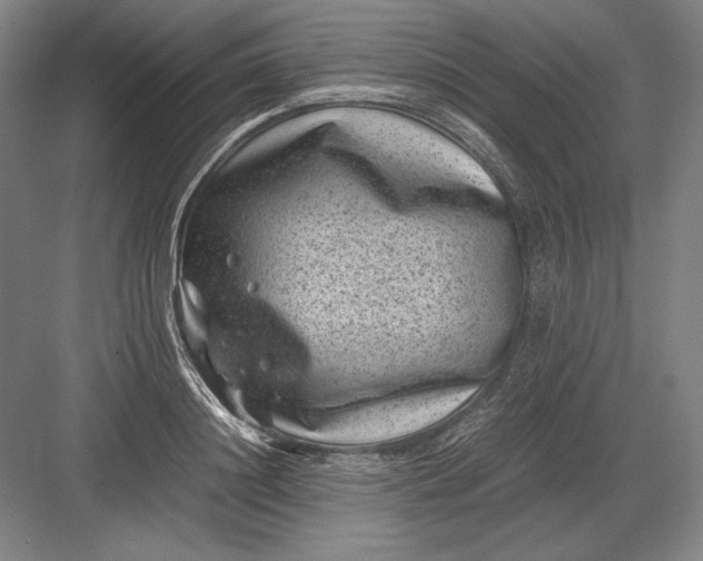 X0000082990844200702160021