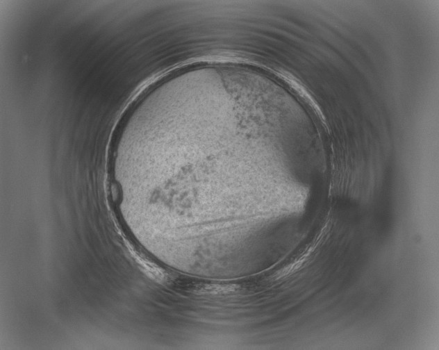 X0000082990845200702160021