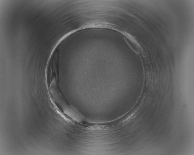 X0000082990846200702160021