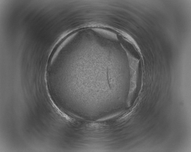 X0000082990847200702160021