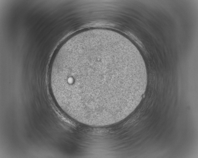 X0000082990848200702160021