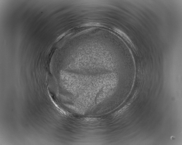 X0000082990849200702160021