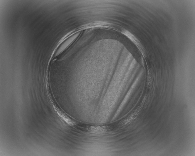 X0000082990850200702160022