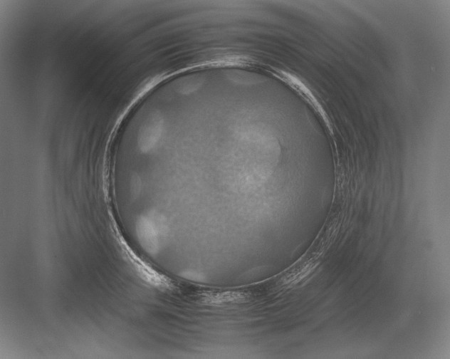 X0000082990851200702160022