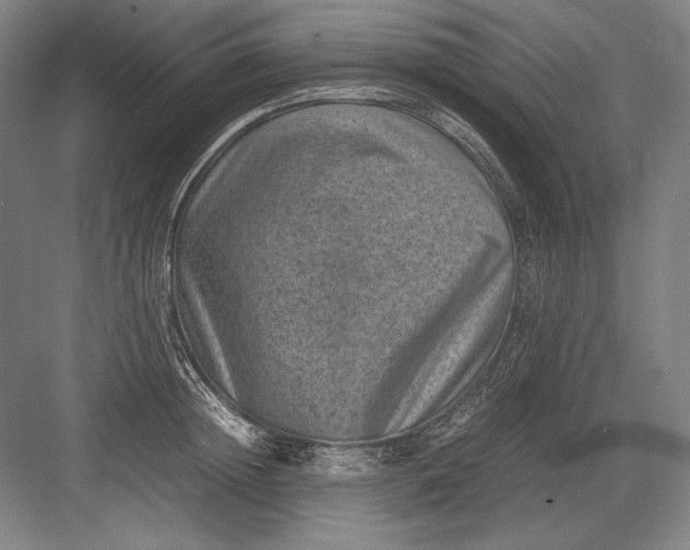 X0000082990852200702160022