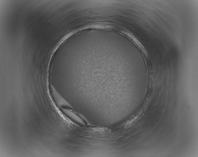 X0000082990853200702160022