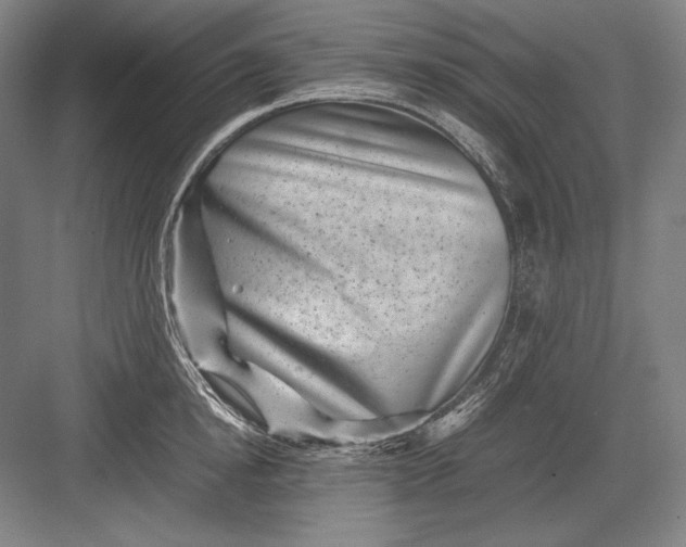 X0000082990854200702160022