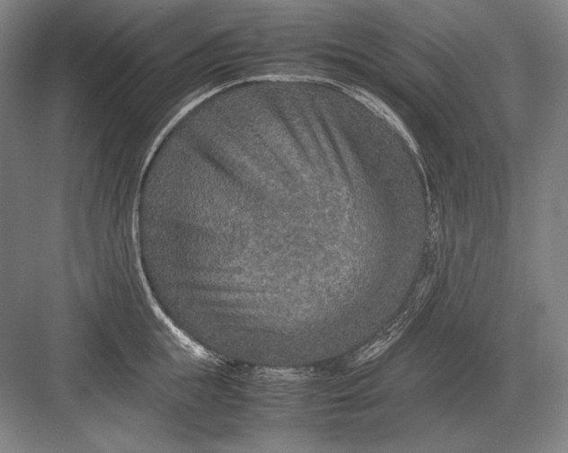 X0000082990855200702160022